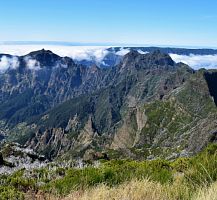 madeira