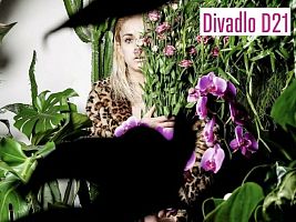 Pěna dní_Boris Vian_DKO_knihovna Jihlava